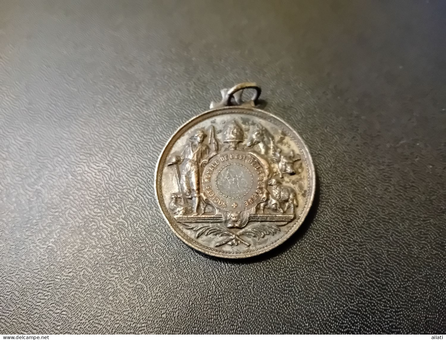 Médaille De La Sociéte Royale Agricole Belges (Tinlot Et Huy) - Gemeentepenningen