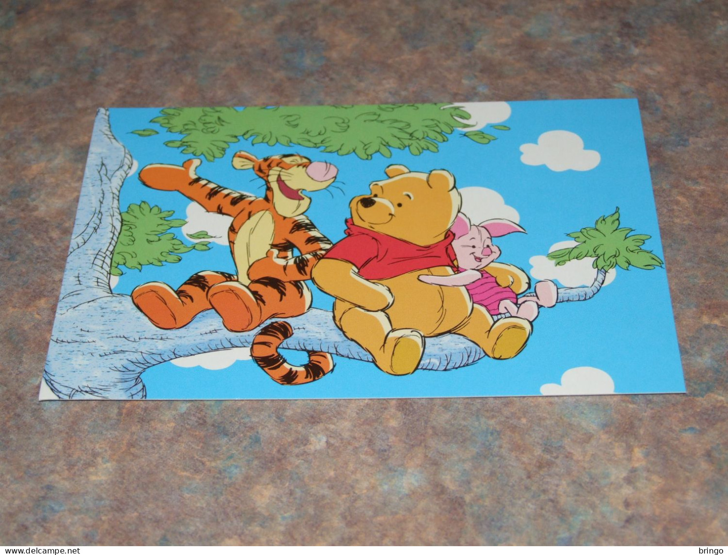 75302-          DISNEY, WINNIE THE POOH - Disneyworld