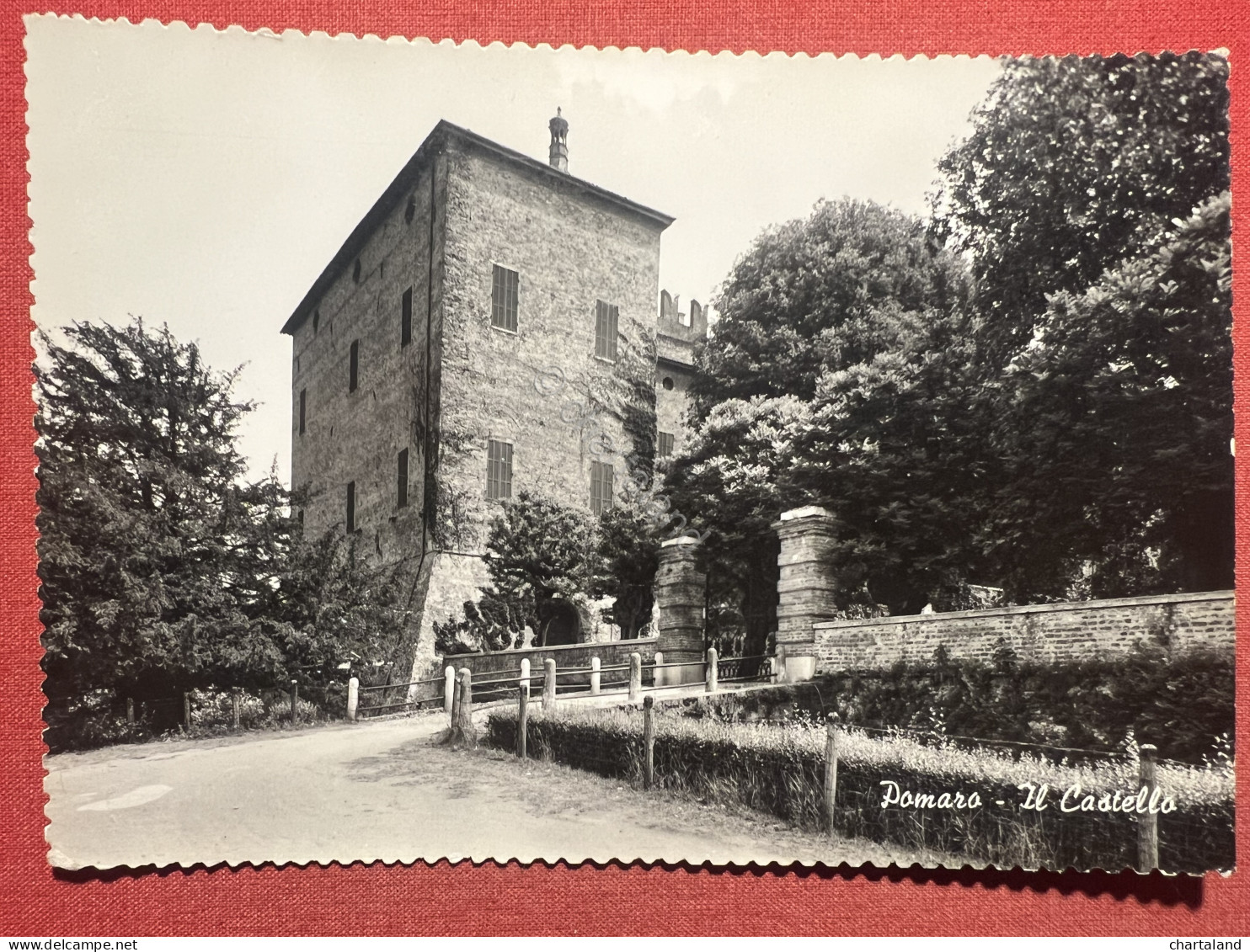 Cartolina - Pomaro ( Alessandria ) - Il Castello - 1960 Ca. - Alessandria