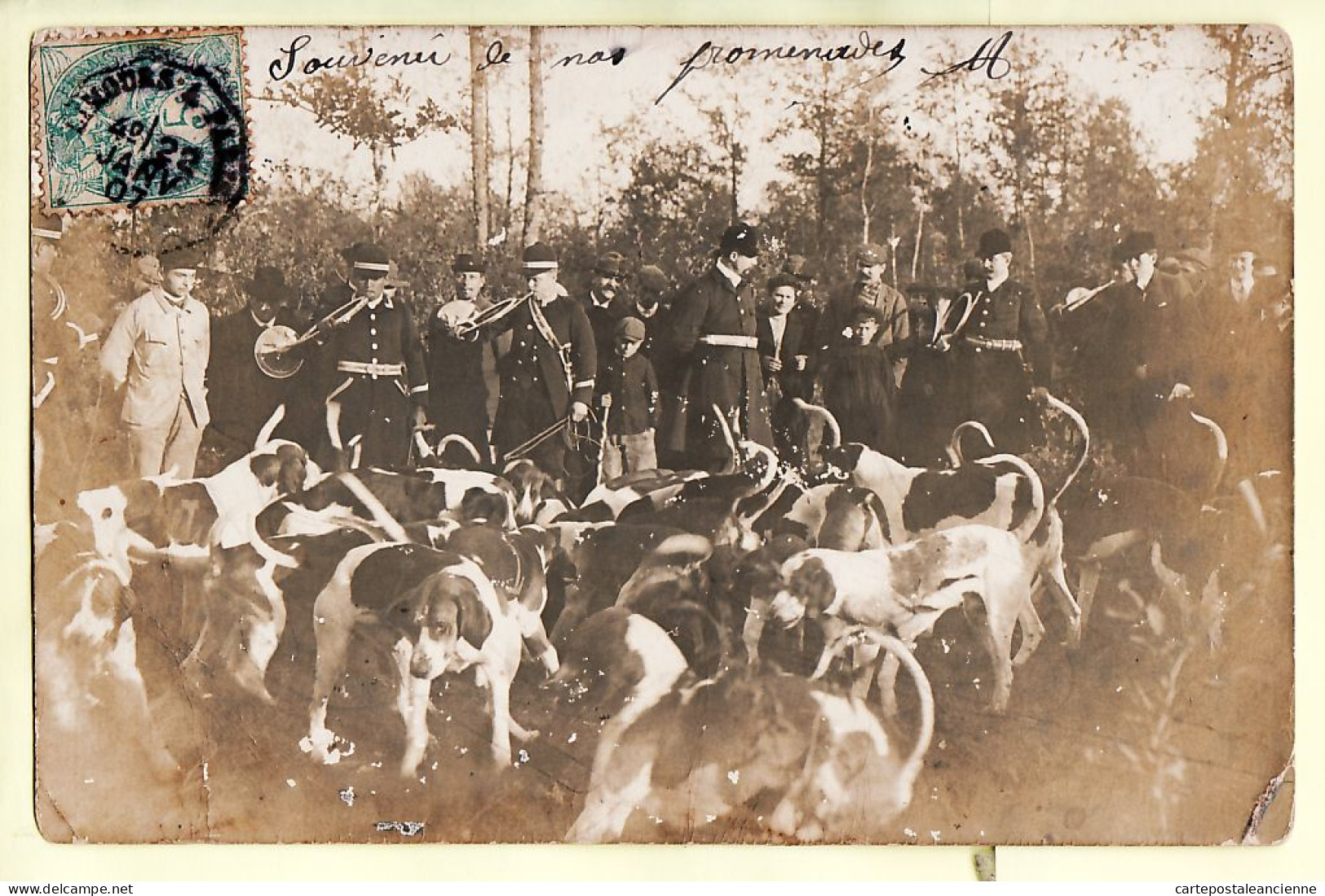 35437  / ⭐ ◉  ♥️ (•◡•) Carte-Photo De LIMOURS 91-Essonne Départ Meute Chasse à Courre Chasseurs 1907 à TAULE Palaiseau - Limours