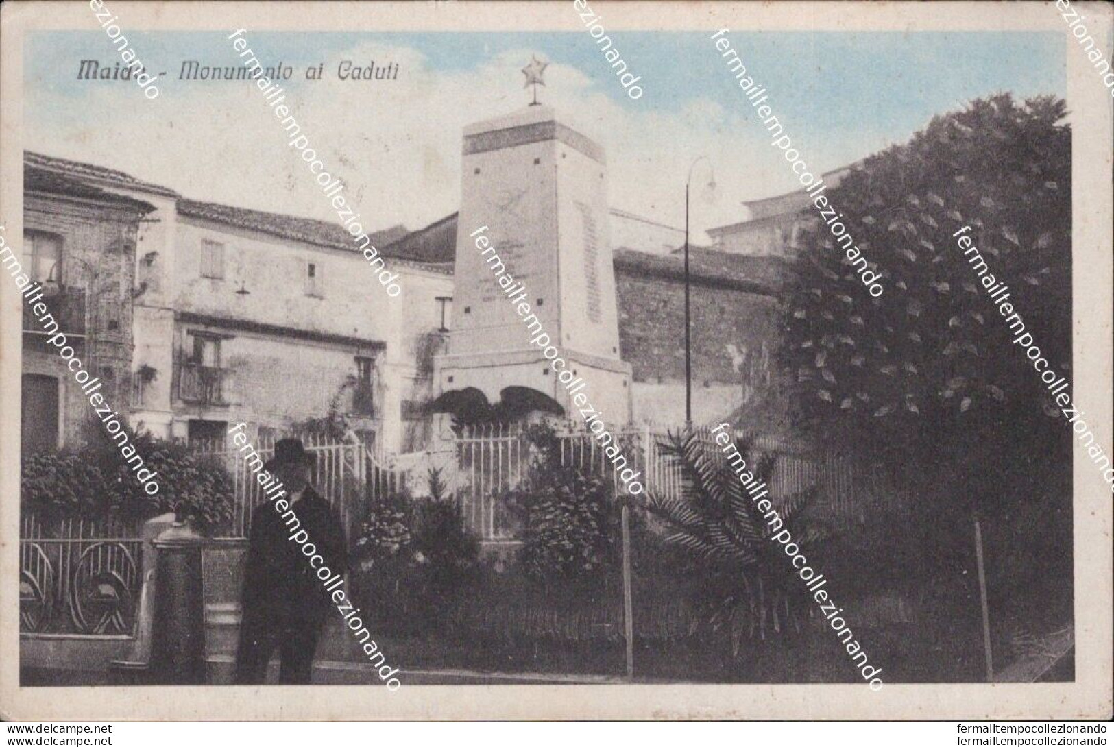 Ba687 Cartolina Maida Monumento Ai Caduti Provincia Di Catanzaro Calabria - Catanzaro