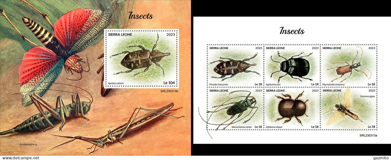 Sierra Leone 2023, Animals, Insects, 6val In BF +BF - Käfer