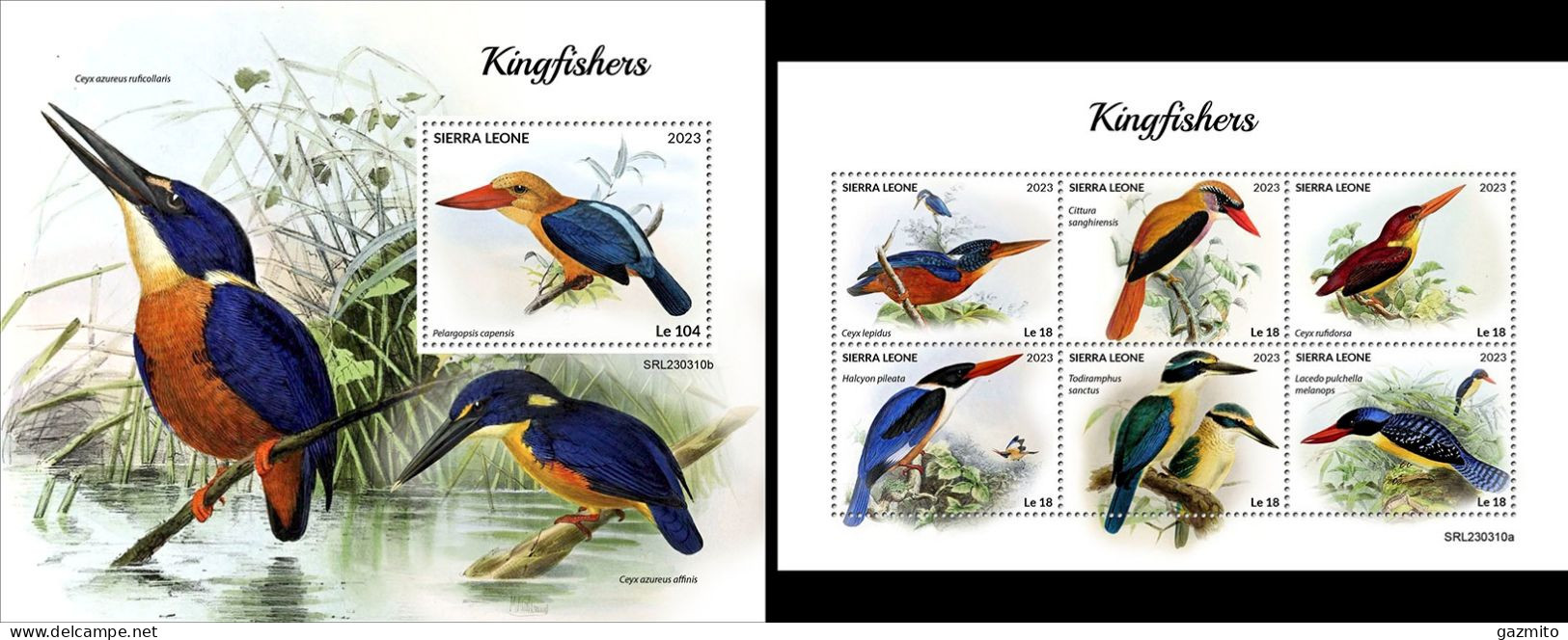 Sierra Leone 2023, Animals, Kingfisher, 6val In BF +BF - Albatrosse & Sturmvögel