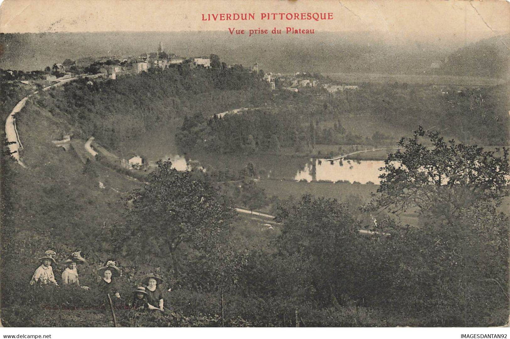 54 LIVERDUN AC#MK319 VUE PRISE DU PLATEAU PITTORESQUE - Liverdun