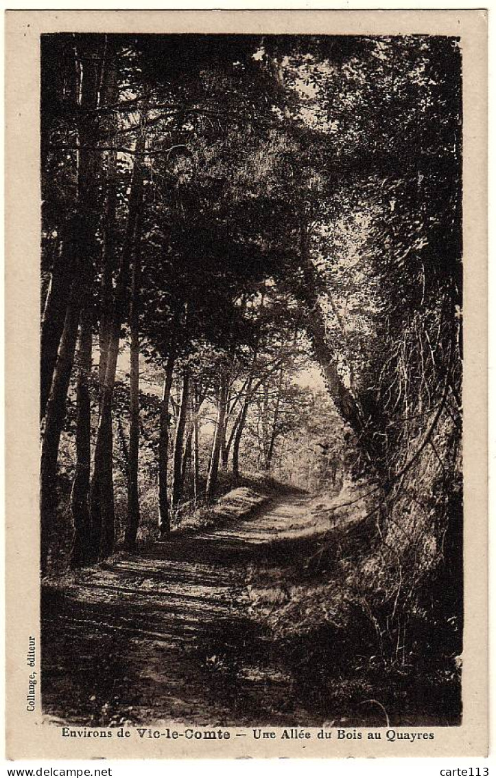 63 - B18918CPA - VIC LE COMTE - Une Allee Du Bois Au Quayres - Très Bon état - PUY-DE-DOME - Vic Le Comte