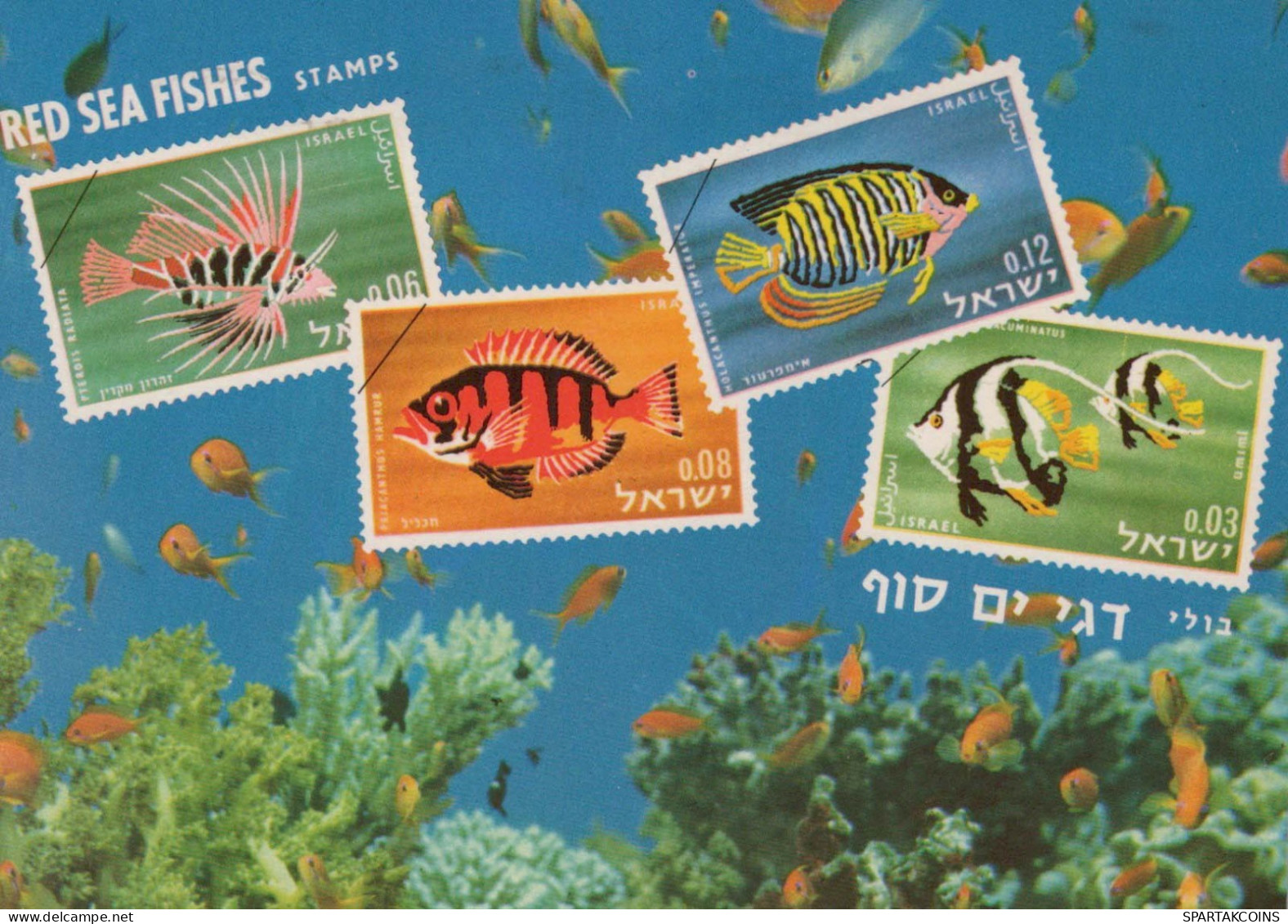 PESCADO Animales Vintage Tarjeta Postal CPSM #PBS881.ES - Fische Und Schaltiere