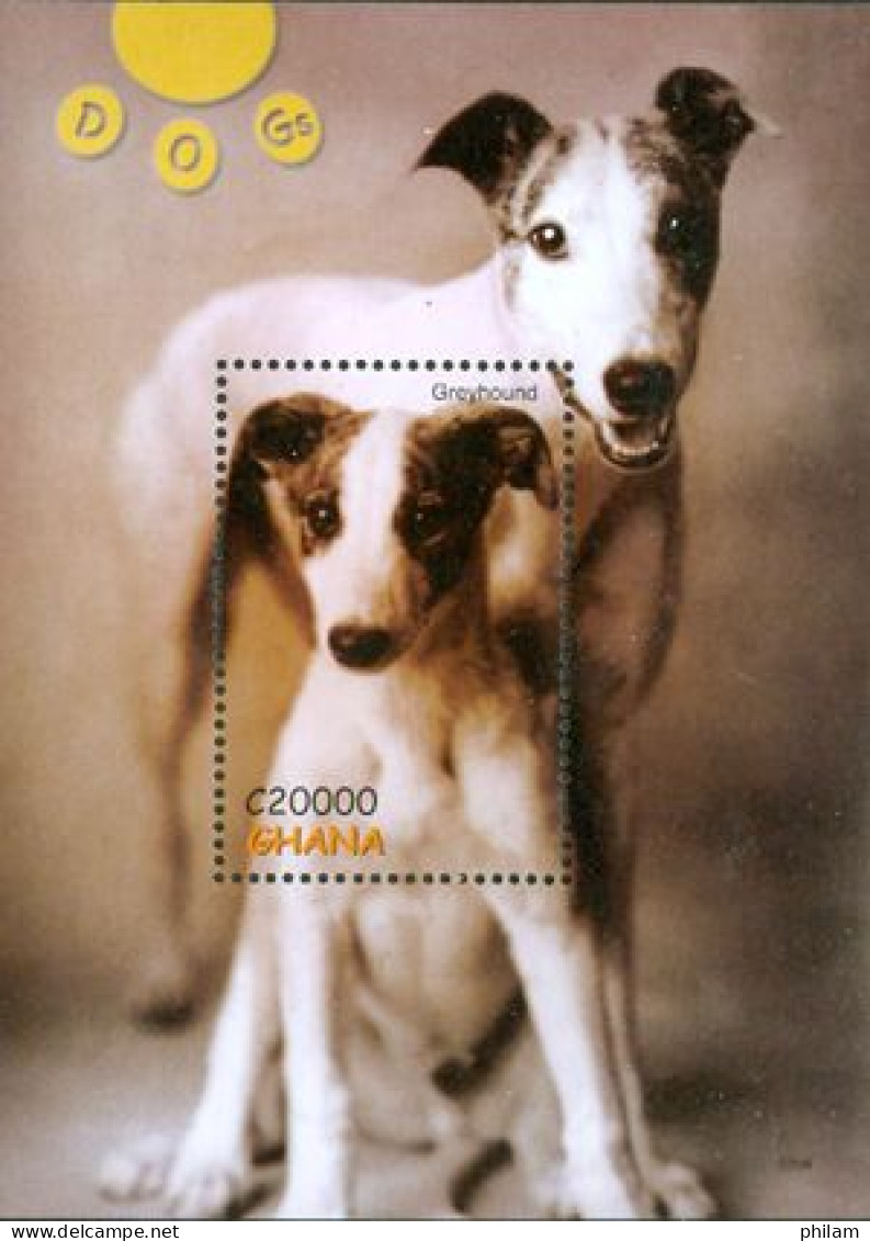 GHANA  2007 - Chiens - Greyhound - BF - Cani