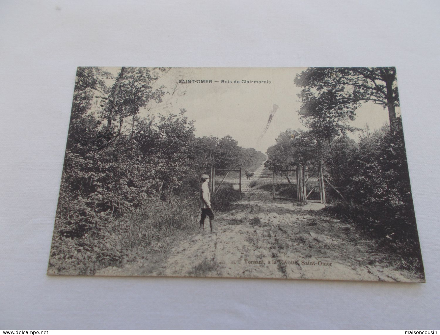 CARTE POSTALE ANCIENNE CPA SAINT ST OMER BOIS DE CLAIRMARAIS AUDOMAROIS MORINIE ARDRES - Saint Omer