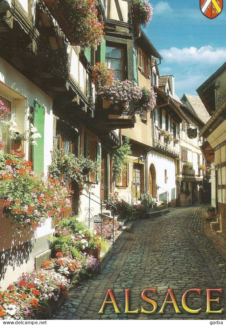 *CPM  - 68 - EGUISHEIM - - Orbey