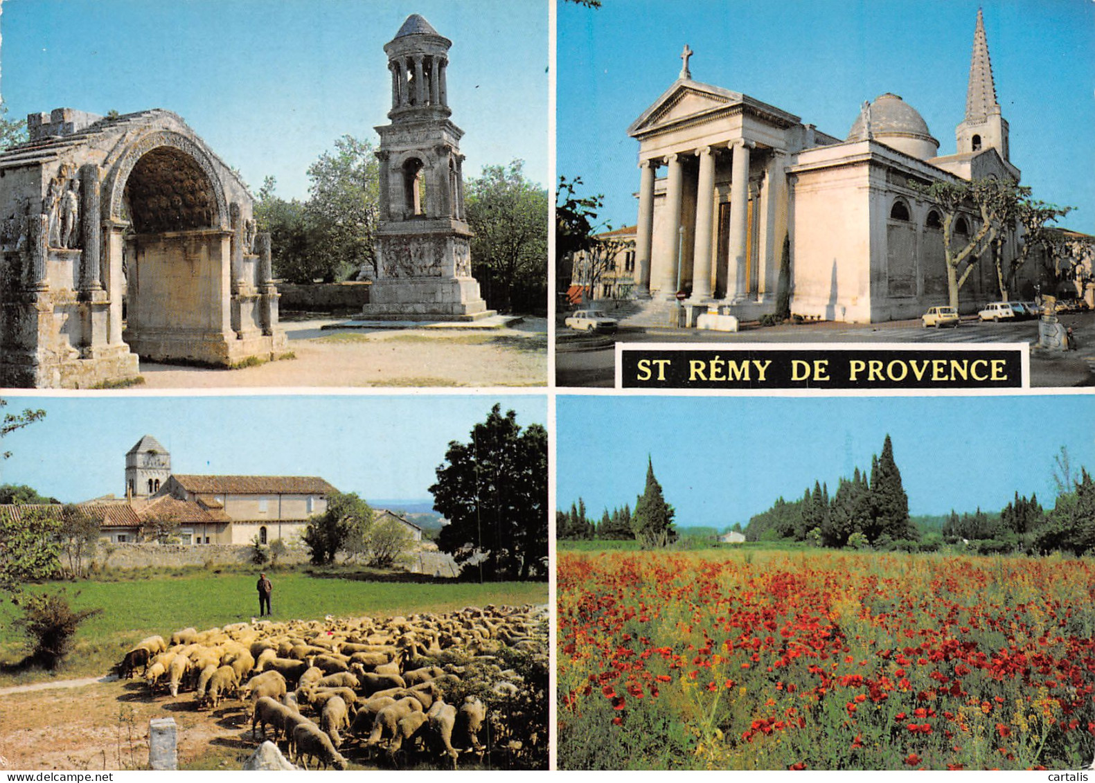 13-SAINT REMY DE PROVENCE-N°C4089-C/0045 - Saint-Remy-de-Provence