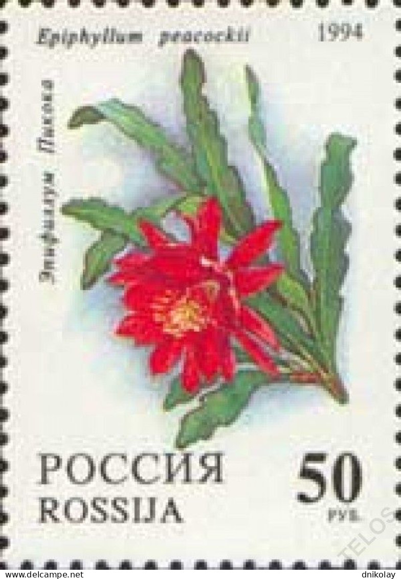 1994 356 Russia Cactuses MNH - Nuovi