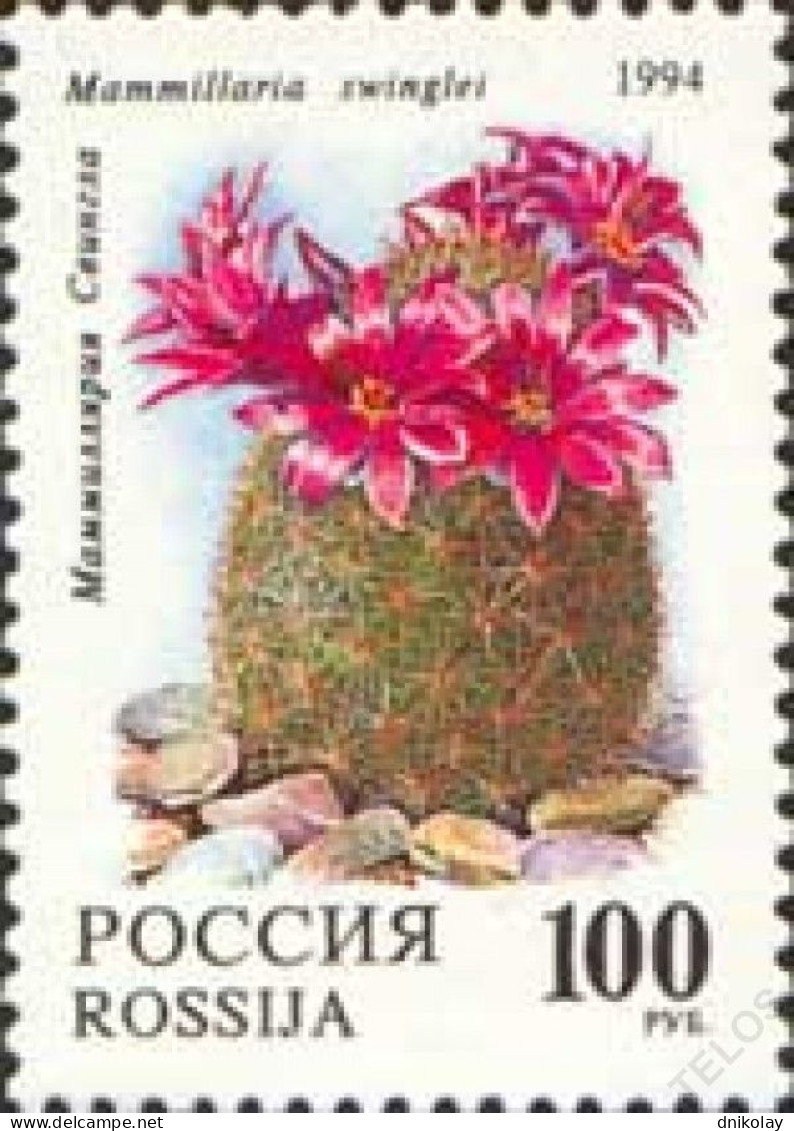 1994 356 Russia Cactuses MNH - Ongebruikt