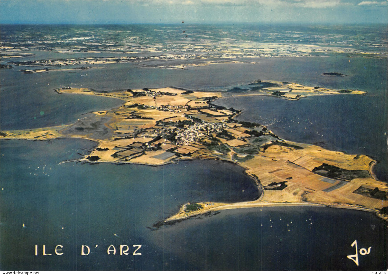 56-ILE D ARZ-N°C4095-B/0129 - Ile D'Arz