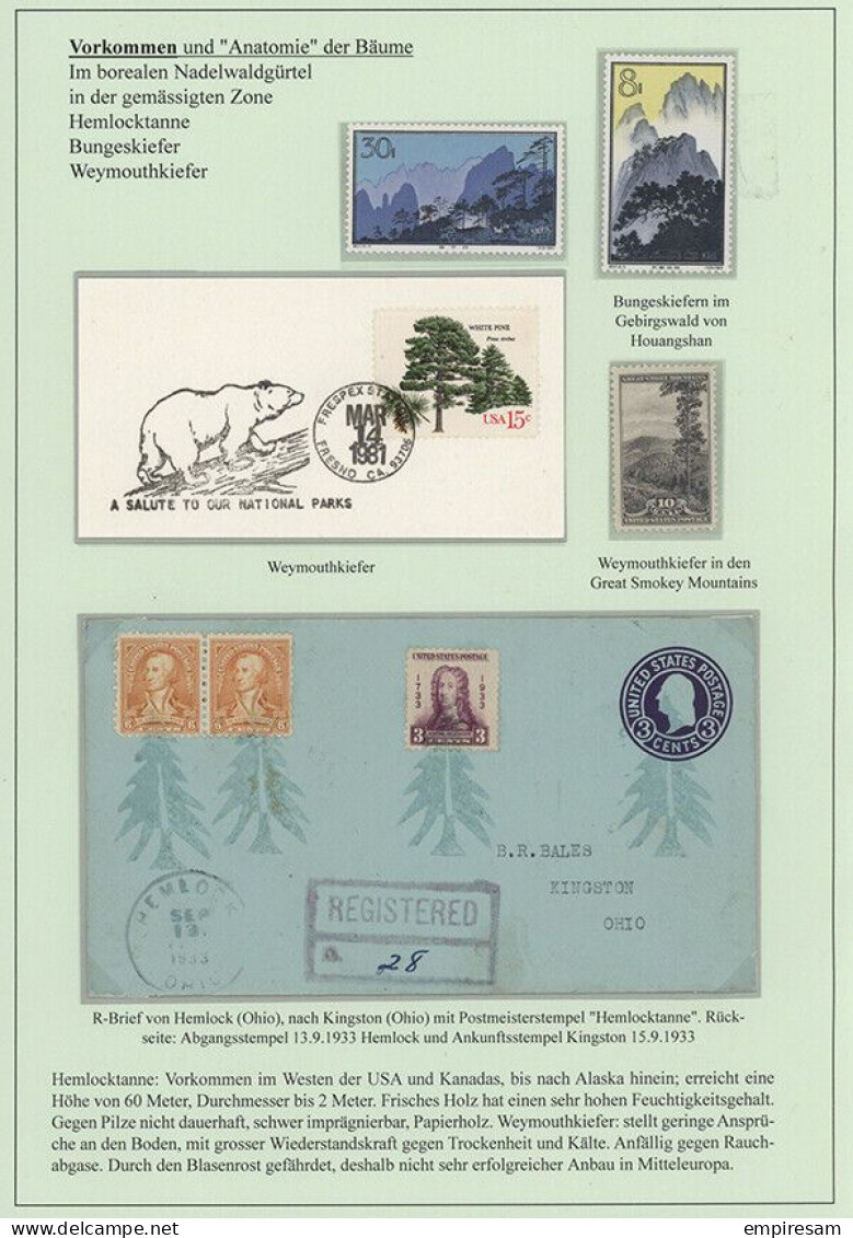 Wood - Specialised award winning stamp collection - Ready to exhibit