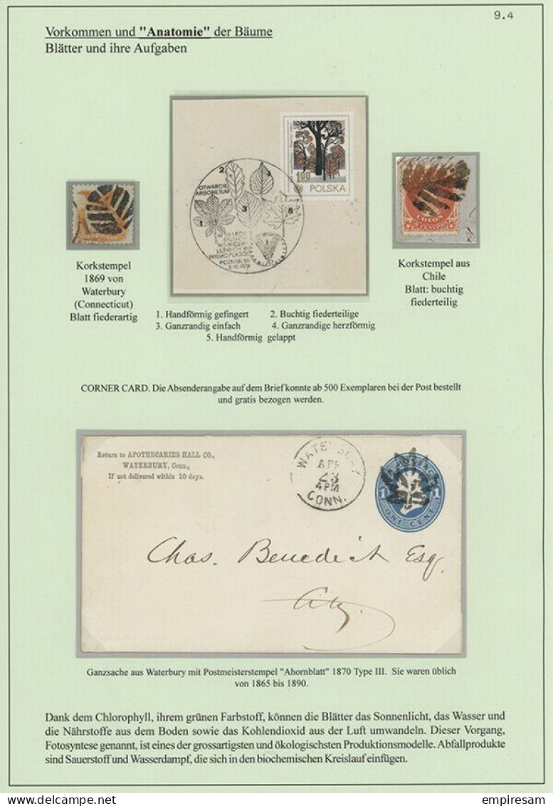 Wood - Specialised award winning stamp collection - Ready to exhibit