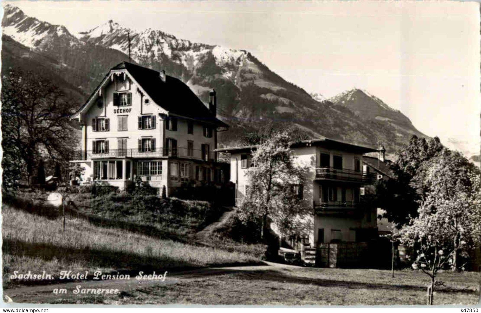 Sachseln - Hotel Seehof - Sachseln