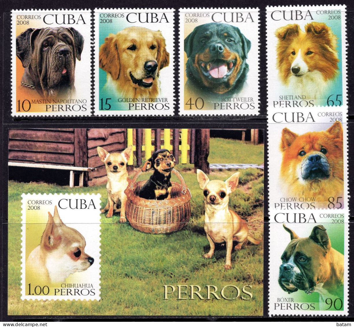 Cuba 2008 - Dogs - MNH Set + Souvenir Sheet - Neufs