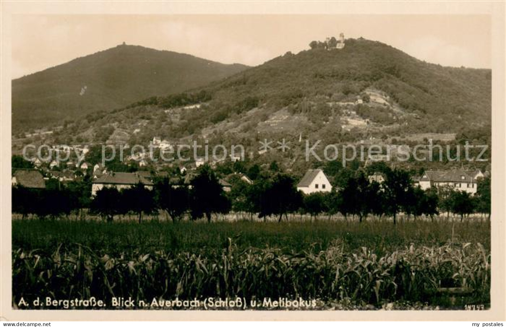 73755175 Auerbach Bergstrasse Schloss Und Melibokus Auerbach Bergstrasse - Bensheim