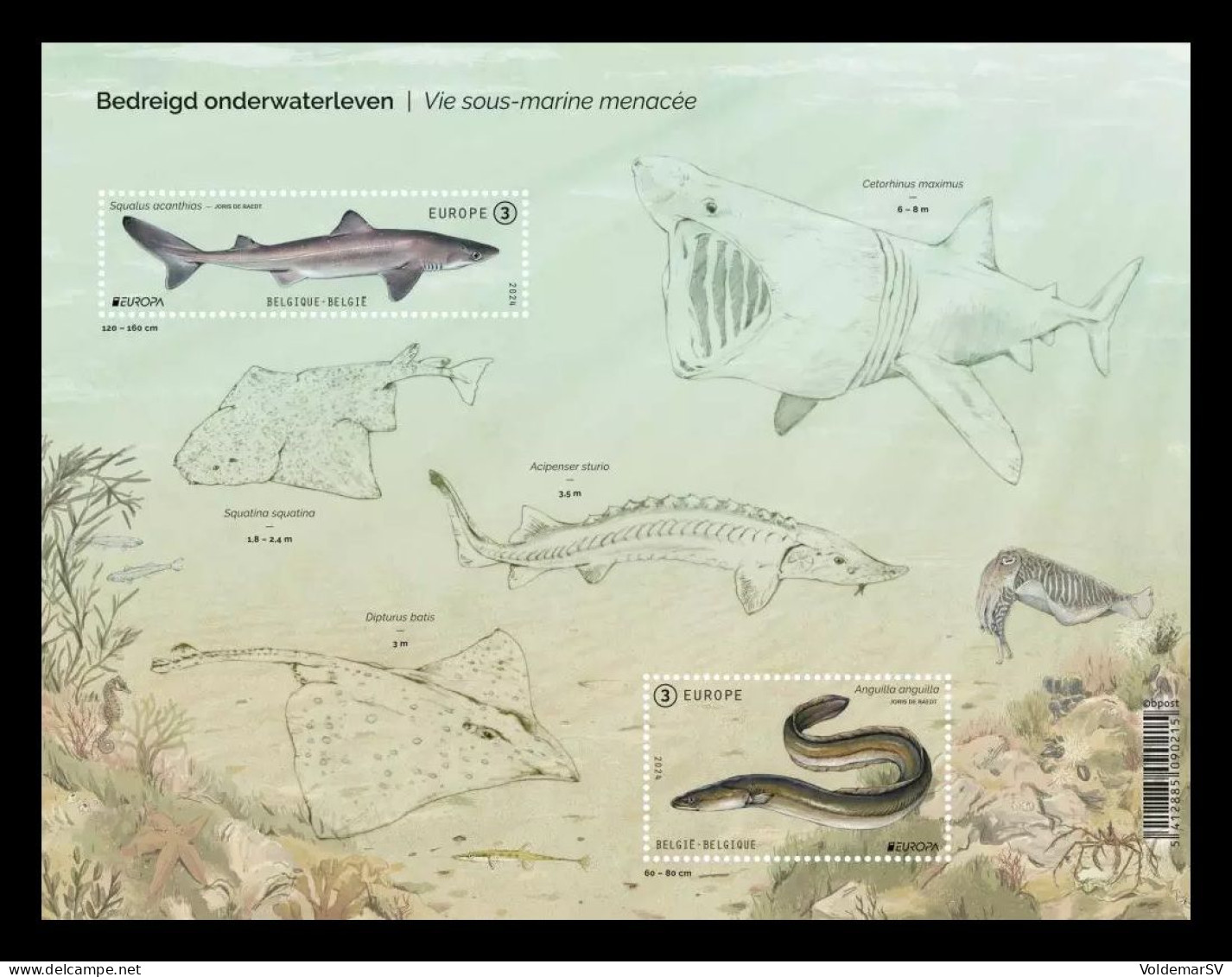 Belgium 2024 Mih. 5264/65 (Bl.290) Europa. Underwater Fauna And Flora. Fishes. Spiny Dogfish And European Eel MNH ** - Unused Stamps