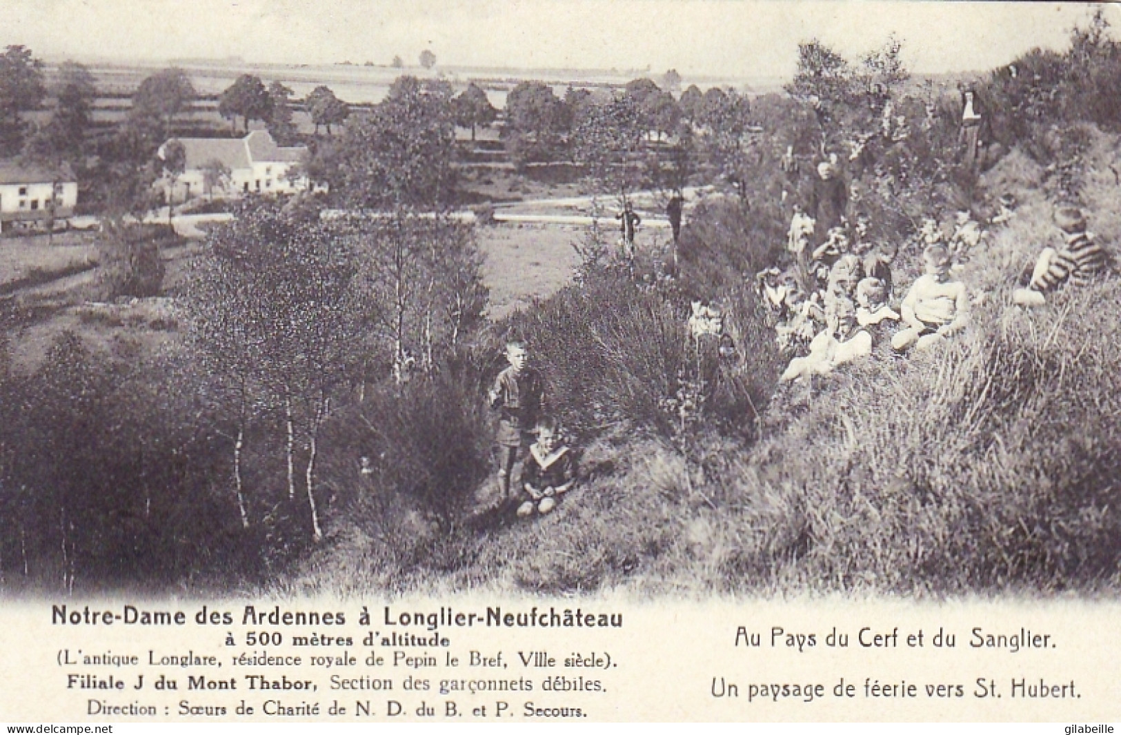 Luxembourg - LONGLIER NEUFCHATEAU - Notre Dame Des Ardennes - Au Parc Du Cerf Et Du Sanglier  -paysage De Feerie - Neufchateau