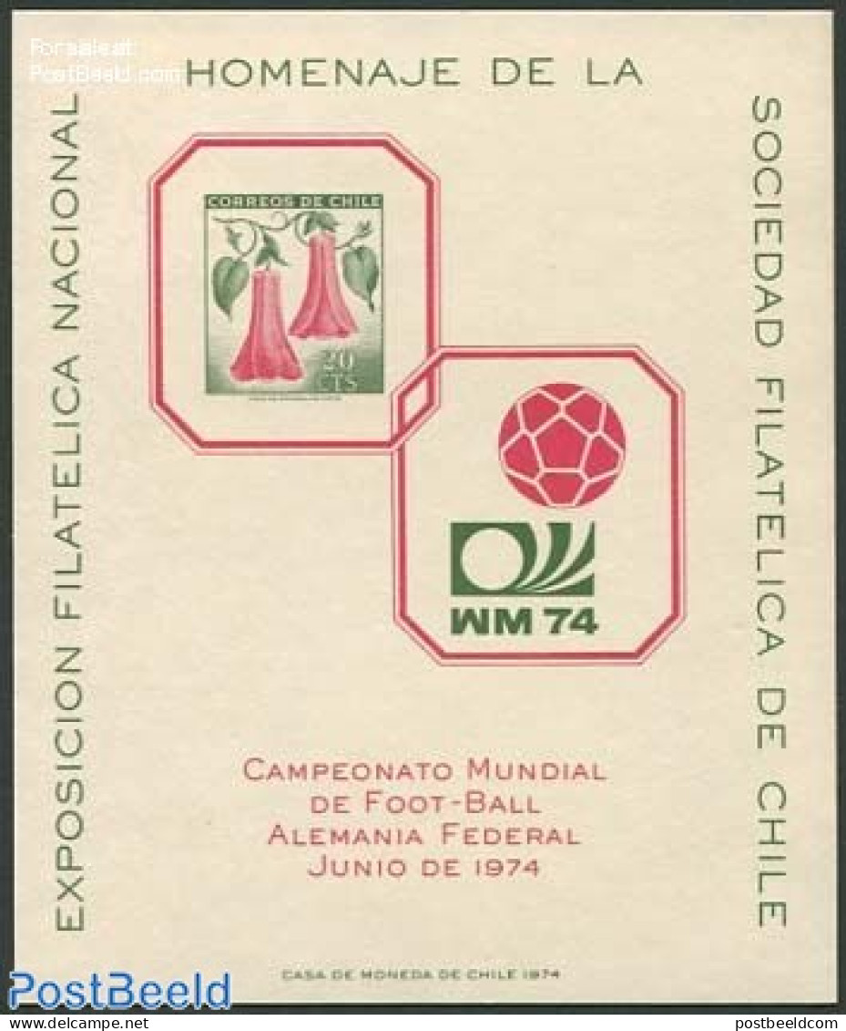 Chile 1965 Football/Exhibition Special Sheet (no Postal Value), Mint NH, Nature - Sport - Flowers & Plants - Football - Chile