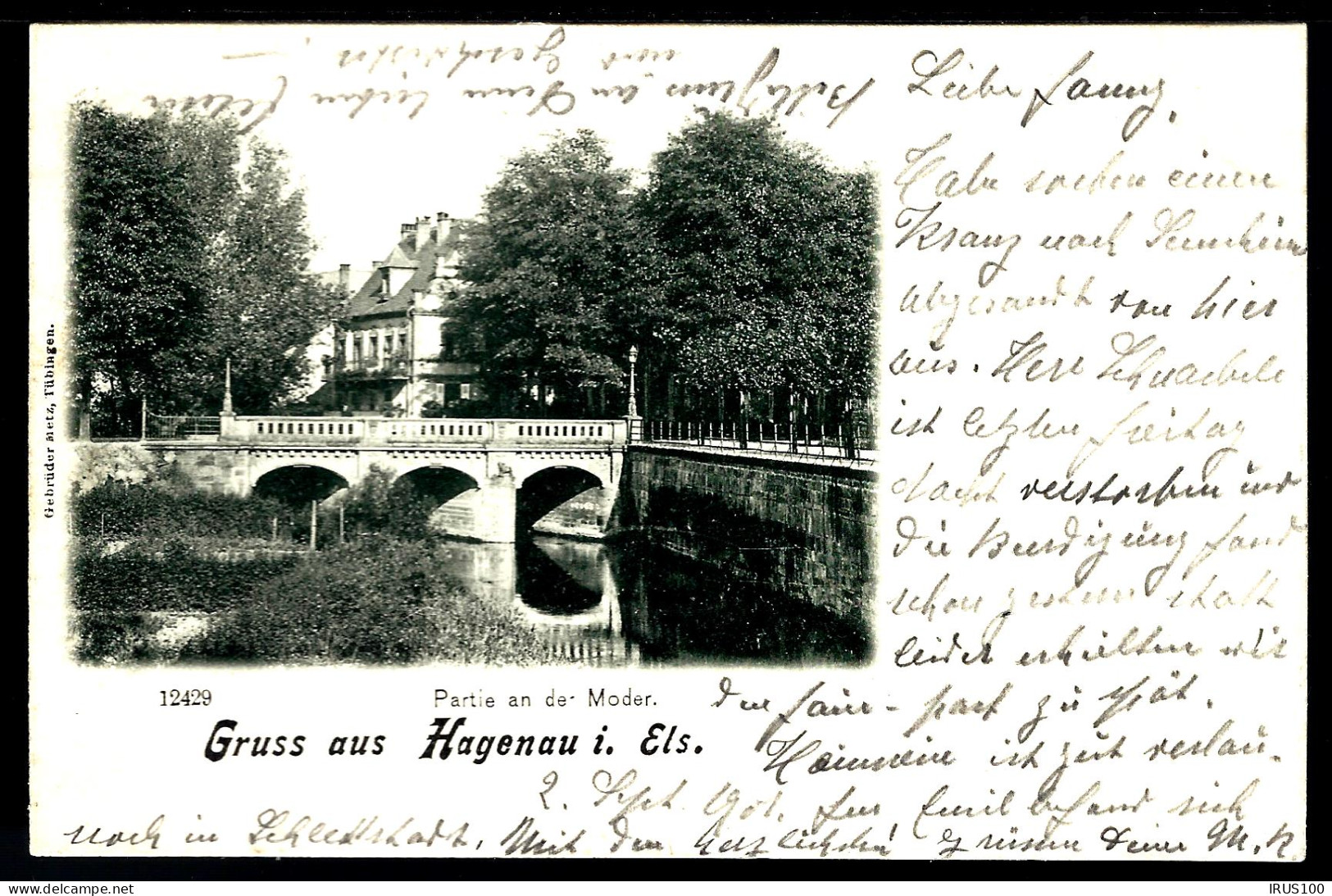 67. GRUSS AUS HAGENAU - 1901 - HAGUENAU - Haguenau