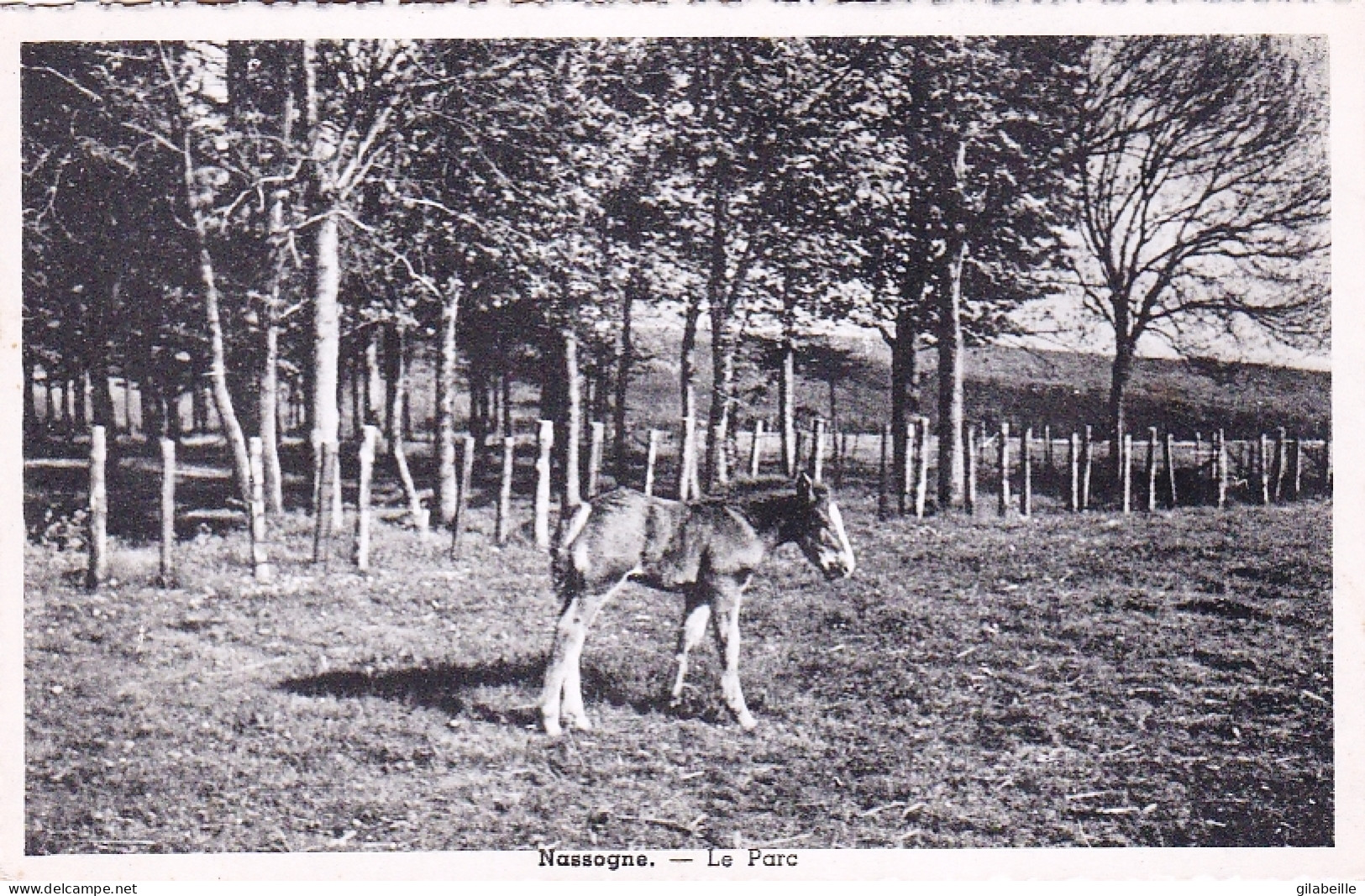 NASSOGNE - Le Parc - Nassogne