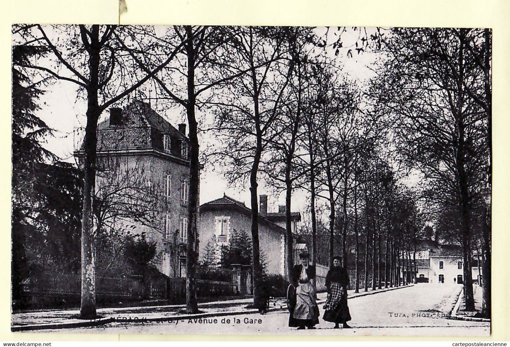 27566 / NERAC Lot-et-Garonne Avenue De La GARE Allée Platanes Demeure Bourgeoise 1910s - TUJA Photo Editeur 117 - Nerac