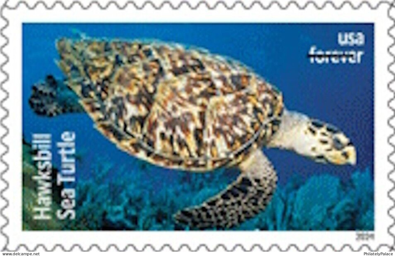 USA 2024 Protect Sea Turtles,Oilve Ridley,Animal, Perforated ,Set Of 6v, MNH (**) - Nuovi