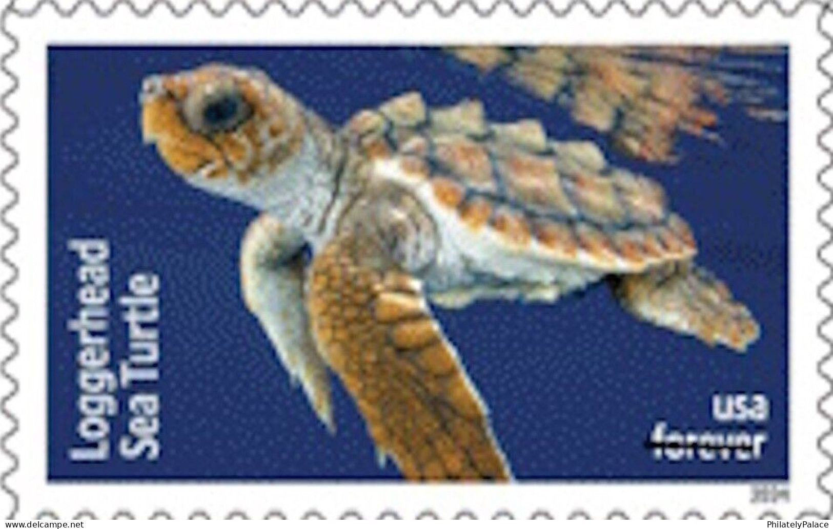 USA 2024 Protect Sea Turtles,Oilve Ridley,Animal, Perforated ,Set Of 6v, MNH (**) - Neufs