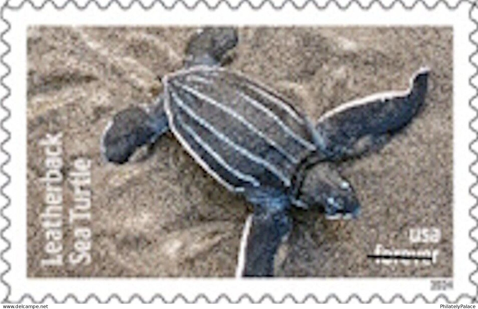 USA 2024 Protect Sea Turtles,Oilve Ridley,Animal, Perforated ,Set Of 6v, MNH (**) - Neufs