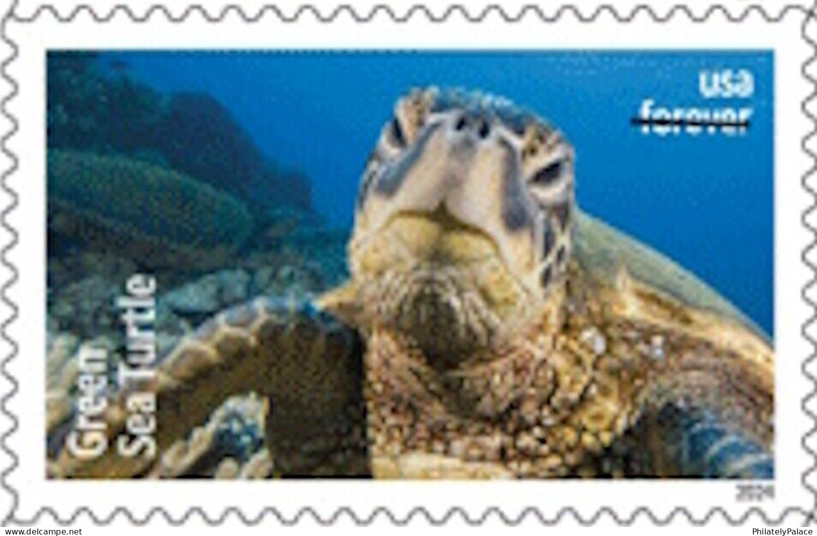 USA 2024 Protect Sea Turtles,Oilve Ridley,Animal, Perforated ,Set of 6v, MNH (**)