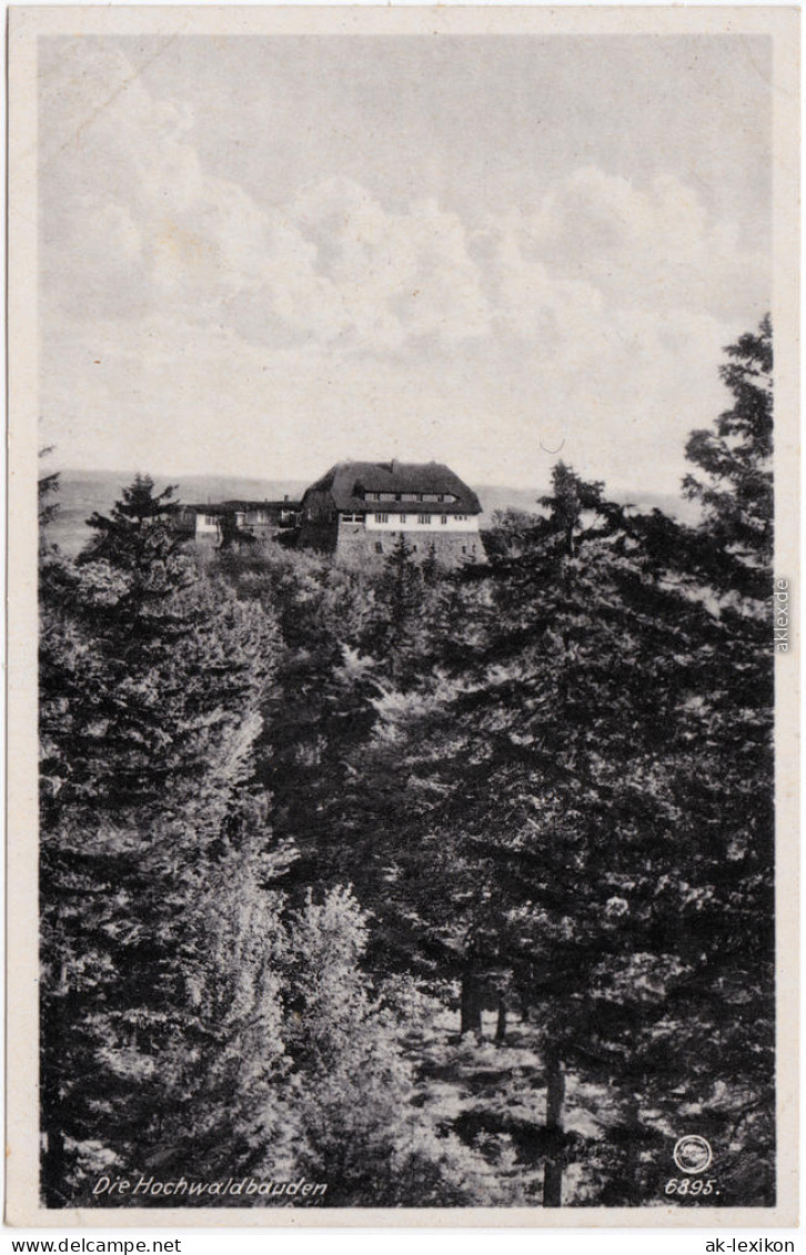 Oybin Die Hochwaldbaude - Zittauer Gebirge B Zittau  1949 - Oybin