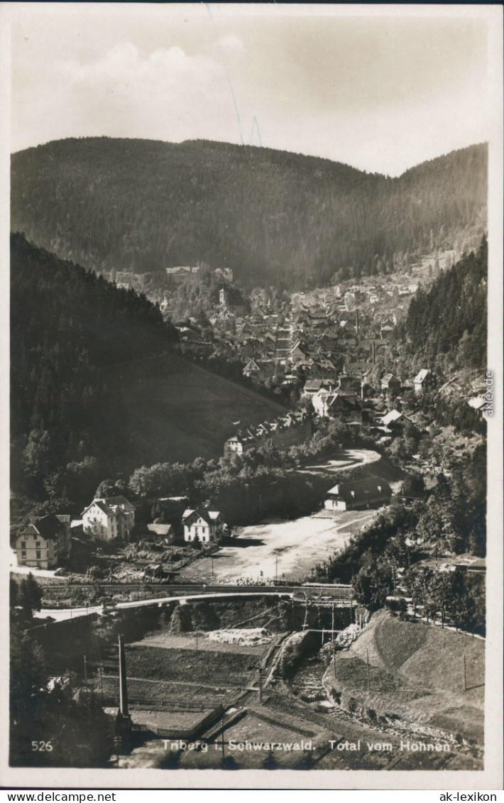 Ansichtskarte Triberg Im Schwarzwald Panorama-Ansicht Vom Hohnen 1925 - Triberg