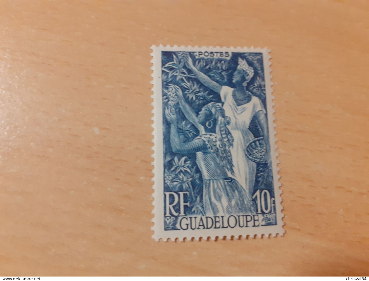 TIMBRE   GUADELOUPE       N  209    COTE  1,25   EUROS  NEUF  TRACE  CHARNIERE - Unused Stamps