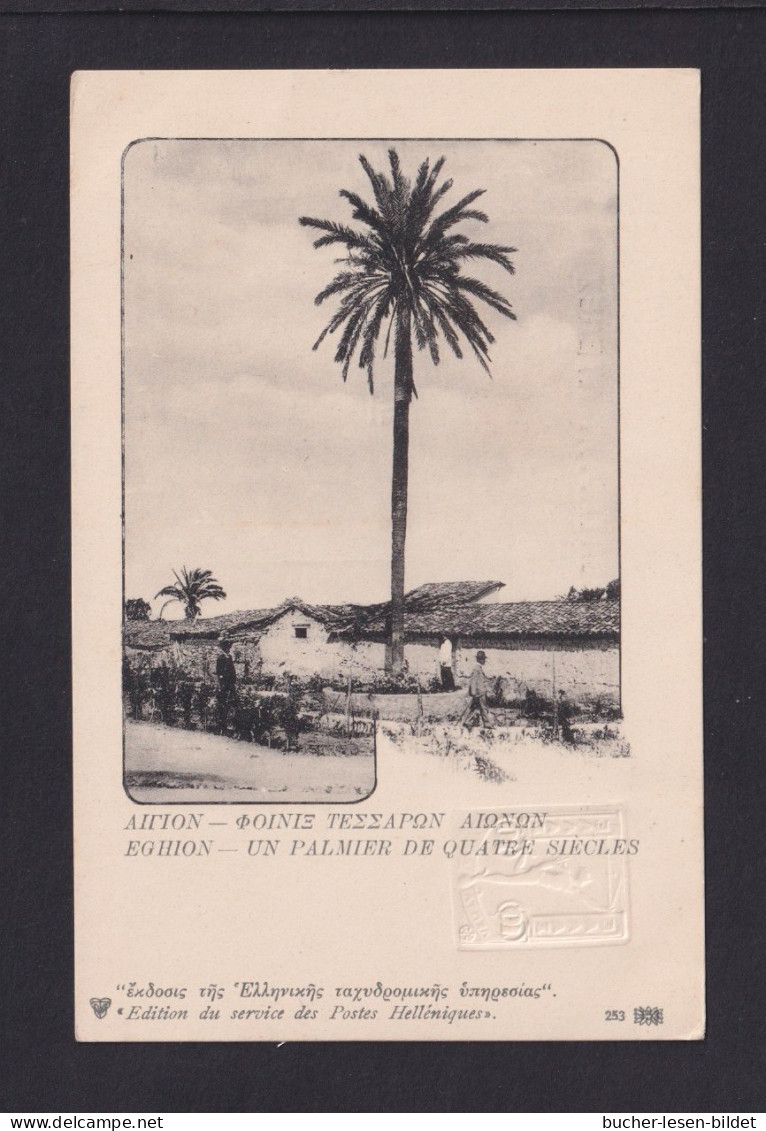 10 L. Bild-Ganzsache "253 - Eghion - Palme" - Bäume