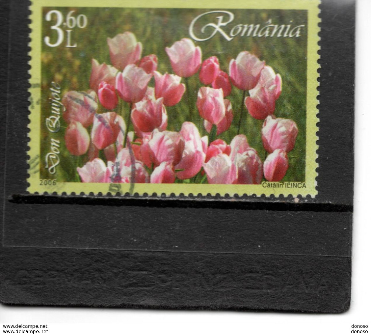 ROUMANIE 2006  Fleurs TULIPES Don Quichotte  Yvert 5088 Oblitéré - Usati