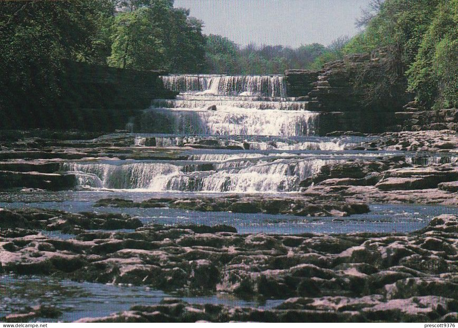 Aysgarth Falls, Wensleydale, Yorkshire -  Unused Postcard -  Uk44 - Other & Unclassified