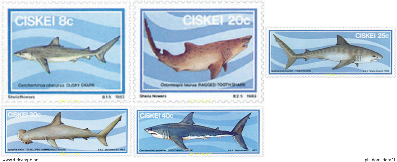 29995 MNH CISKEI 1983 FAUNA MARINA. TIBURONES - Ciskei