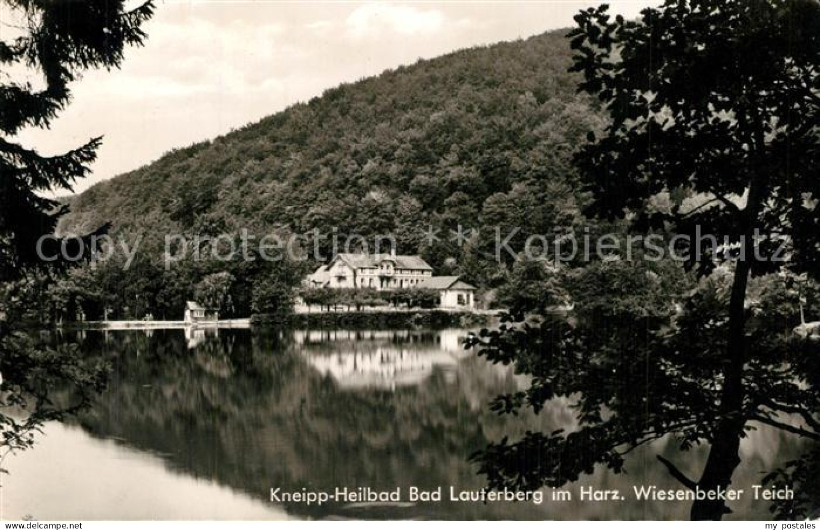 73550910 Bad Lauterberg Wiesenbeker Teich Bad Lauterberg - Bad Lauterberg