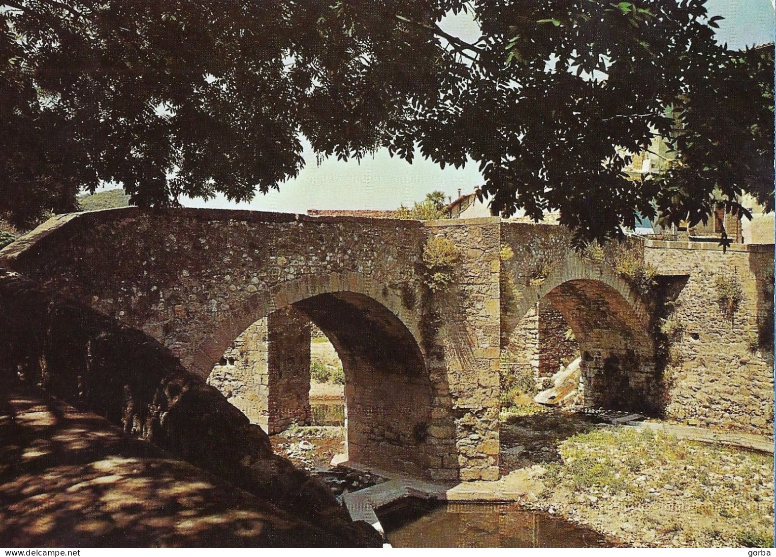 *CPM - 34 - LODEVE -  Le Vieux Pont - Lodeve