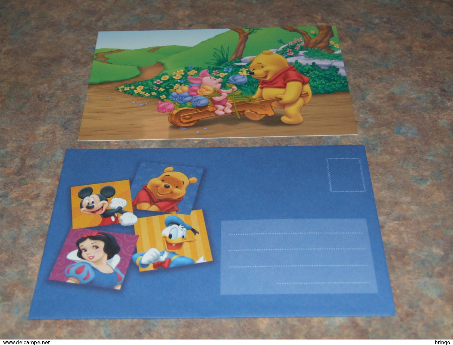 75441-         CARD WITH ENVELOPE, DISNEY, WINNIE THE POOH - Disneyworld