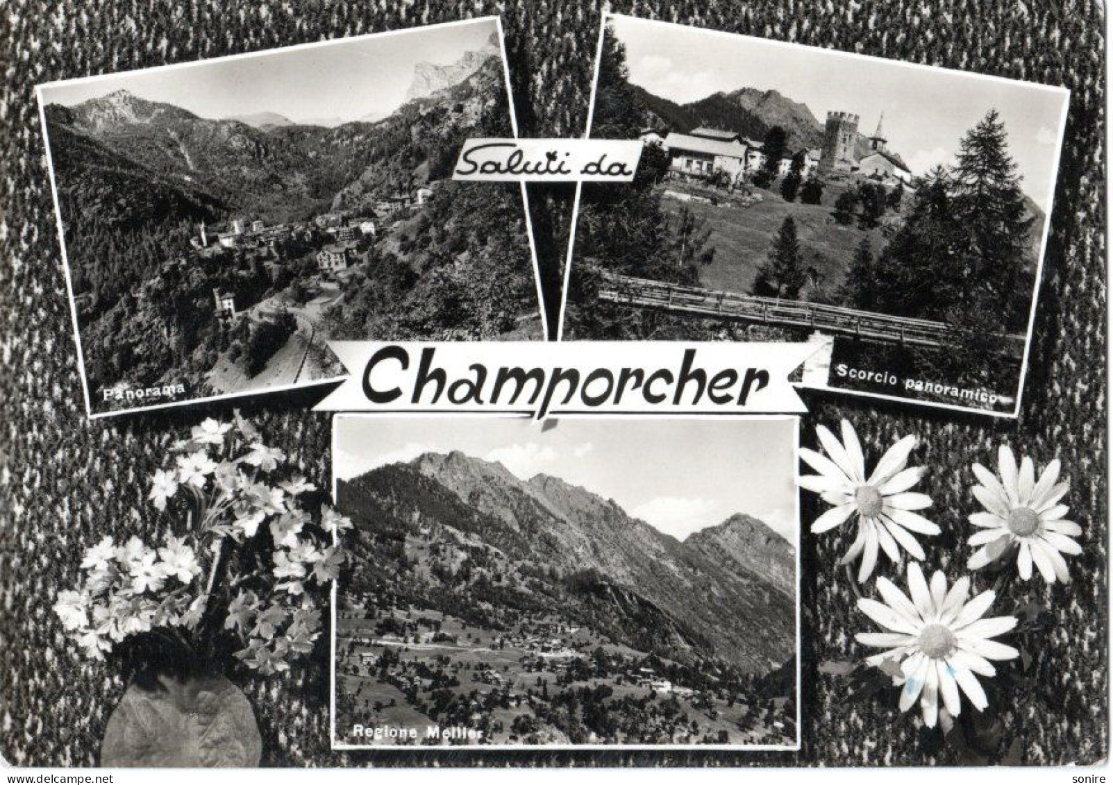 SALUTI DA CHAMPORCHER (AOSTA) ED.BRUM - VEDUTINE - VG FG - C0388 - Aosta