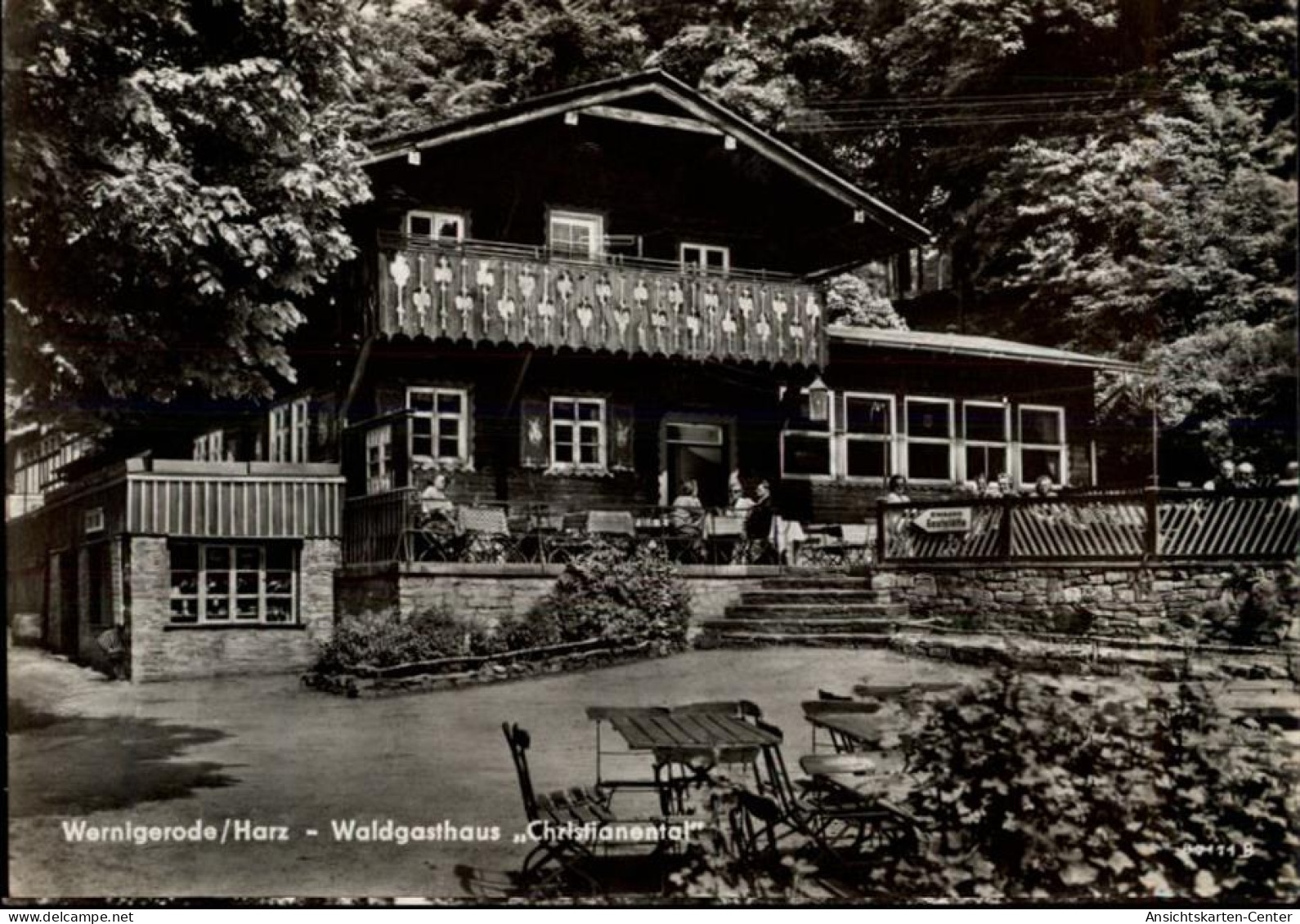 50469207 - Wernigerode - Wernigerode