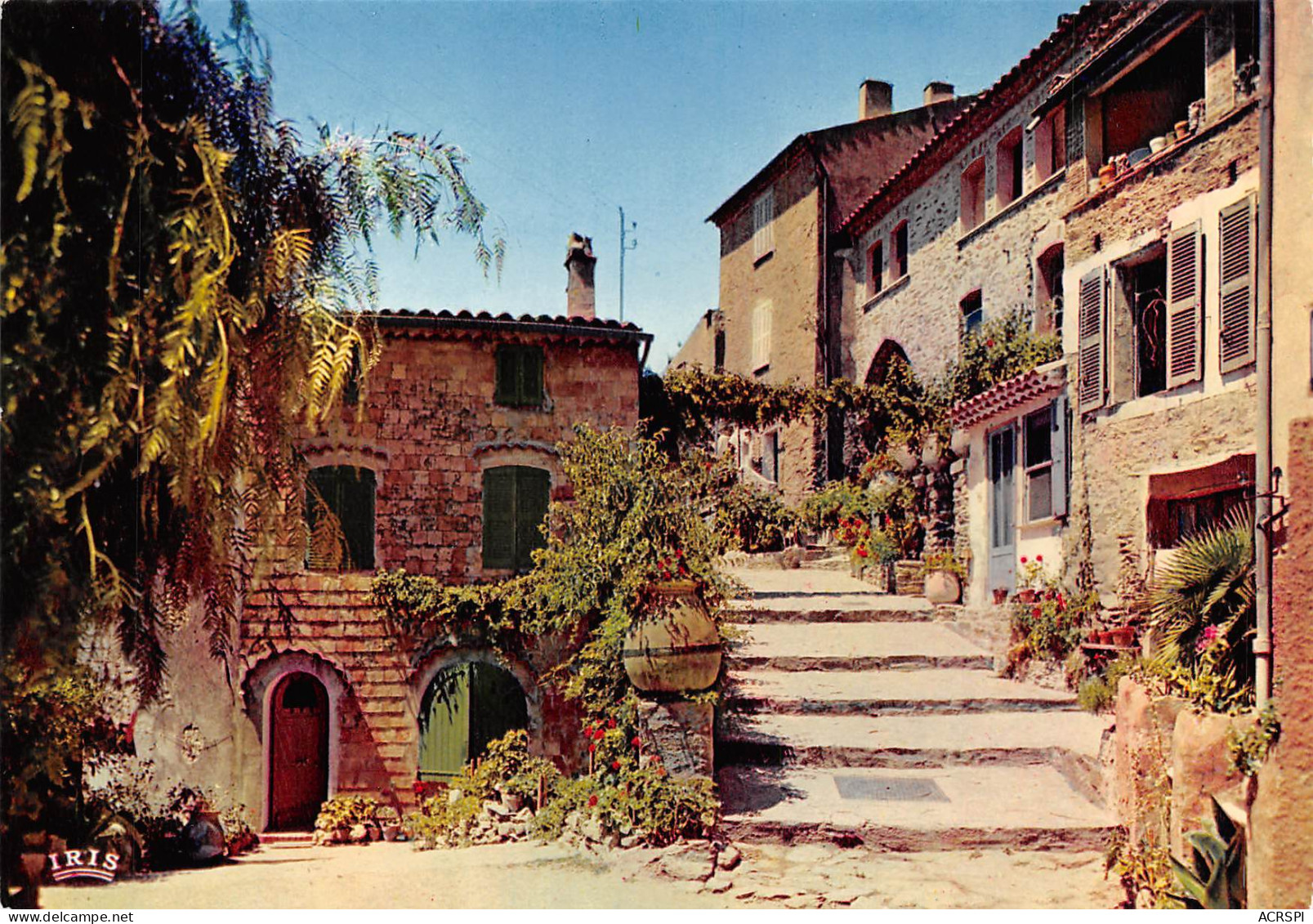 BORMES LES MIMOSAS   Un Coin Pittoresque    31 (scan Recto Verso)MH2987 - Bormes-les-Mimosas