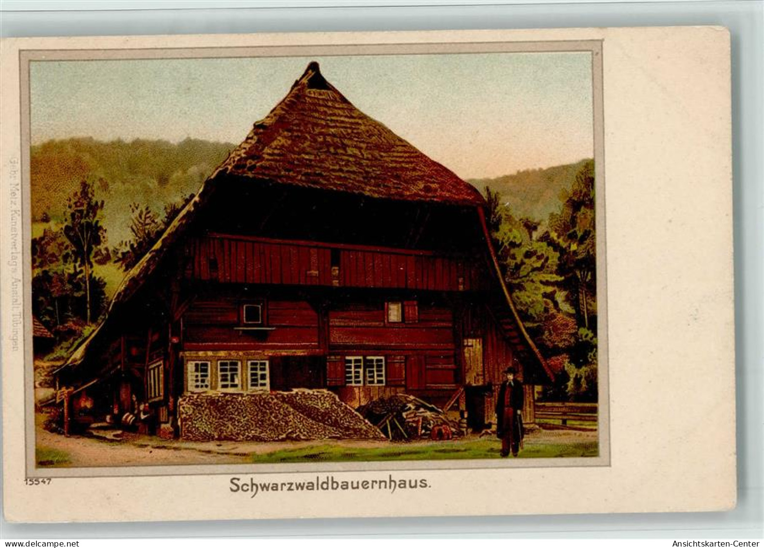 12079607 - Schwarzwaldhaeuser Bauernhaus  1900 Litho - Hochschwarzwald