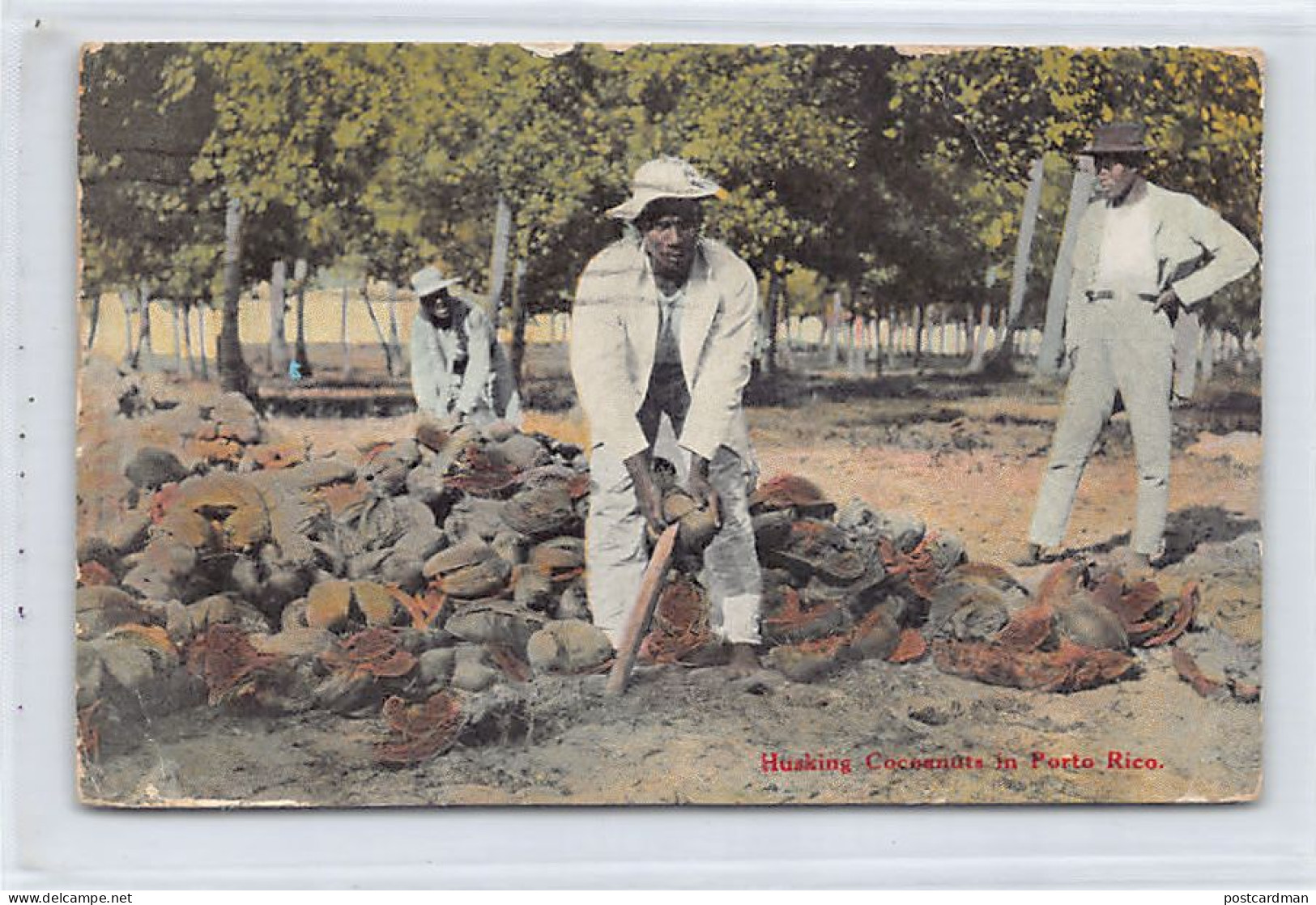 Puerto Rico - Husking Cocoanuts - Publ. Waldrop 47 - Puerto Rico