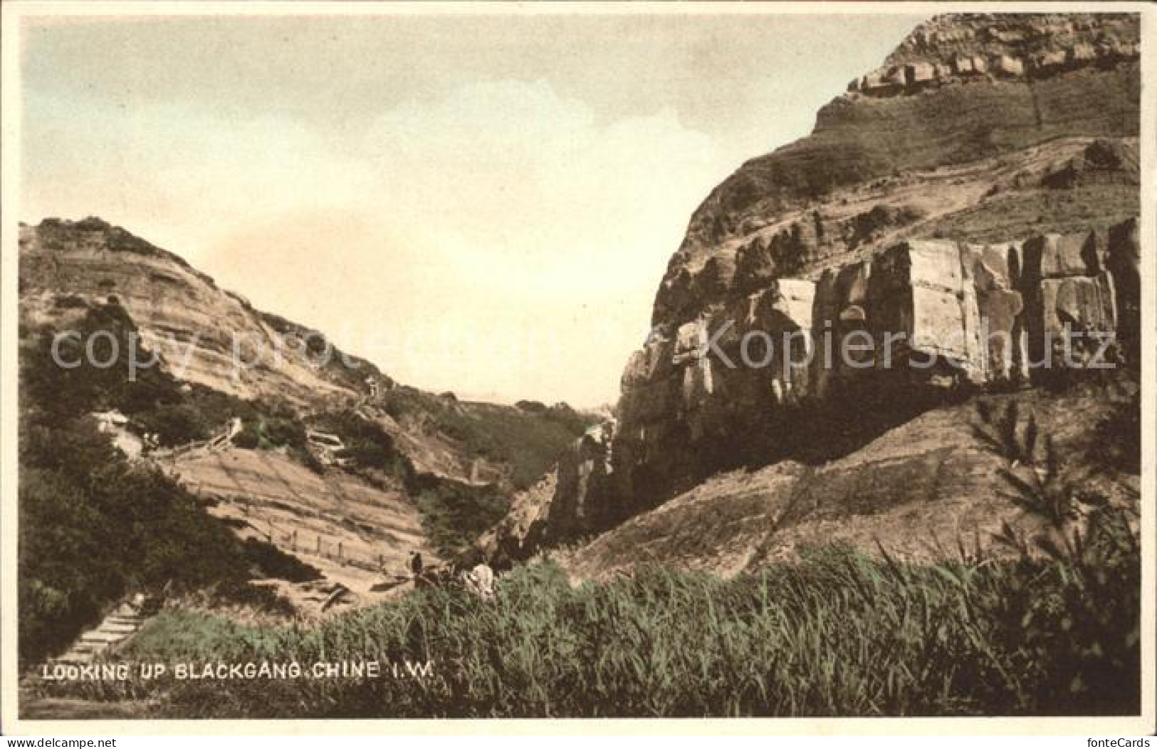 11732431 Isle Of Wight UK Looking Up Blackgang Chine Kuestenlandschaft  - Andere & Zonder Classificatie