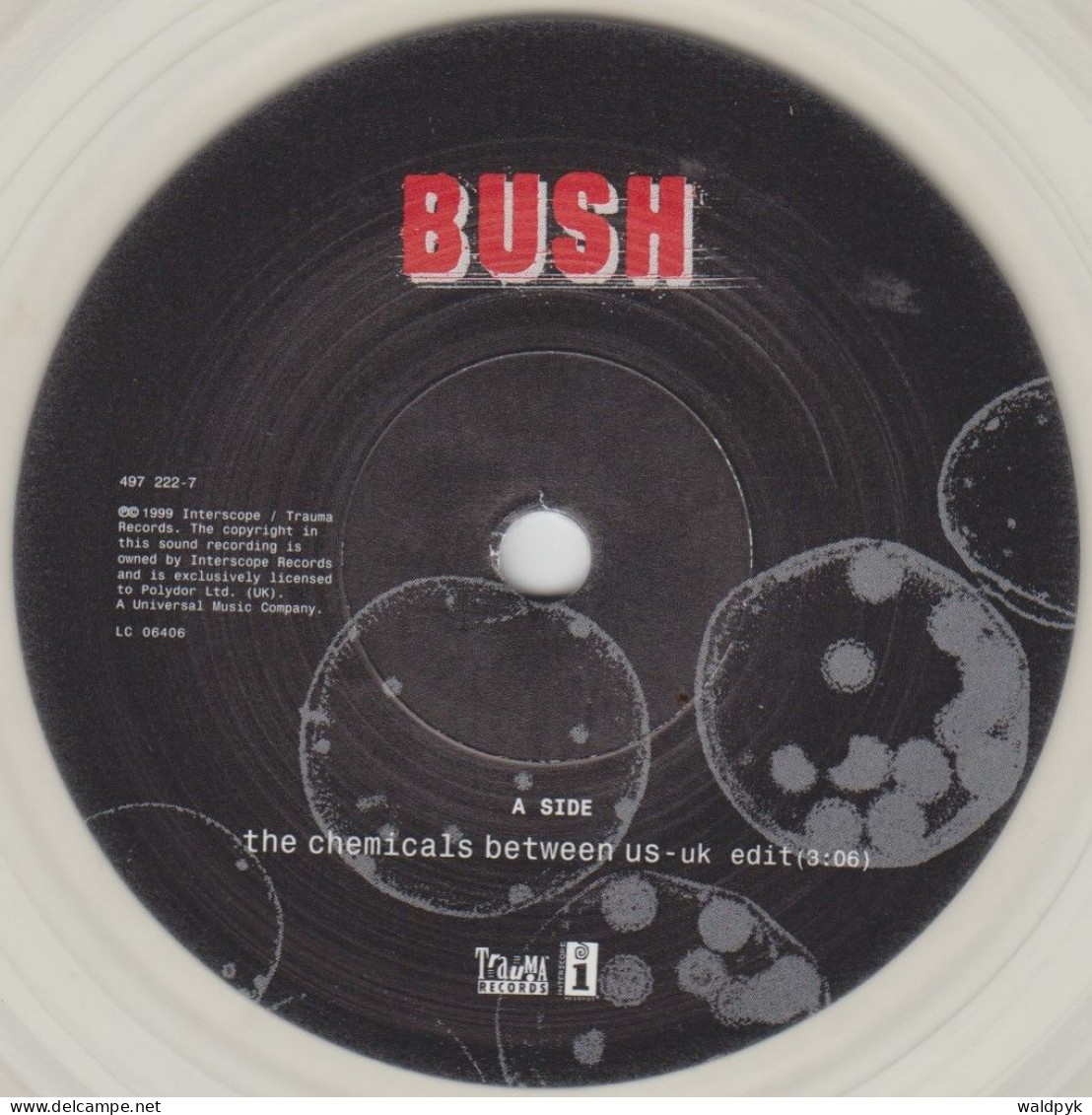 BUSH - The Chemicals Between Us - Sonstige - Englische Musik