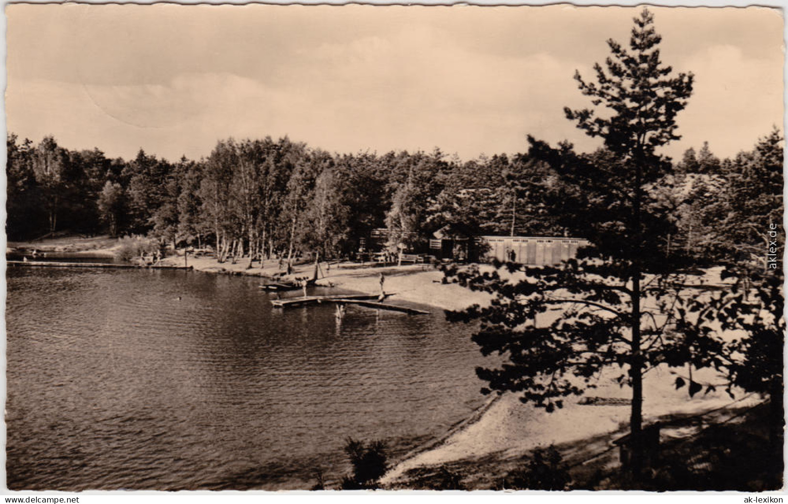 Foto Ansichtskarte Bad Liebenwerda Partie Am Waldbad 1962 - Bad Liebenwerda